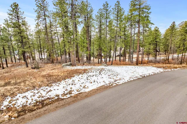 a view of road with trees