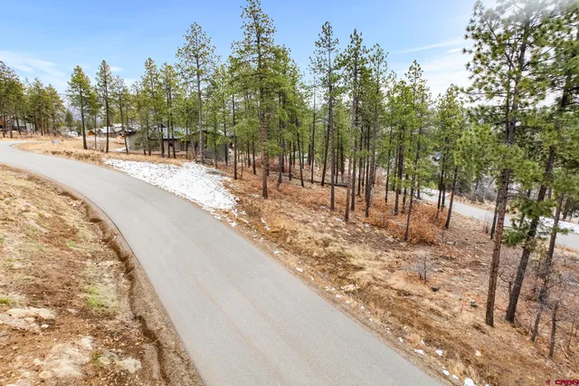 a view of a yard with trees in the background