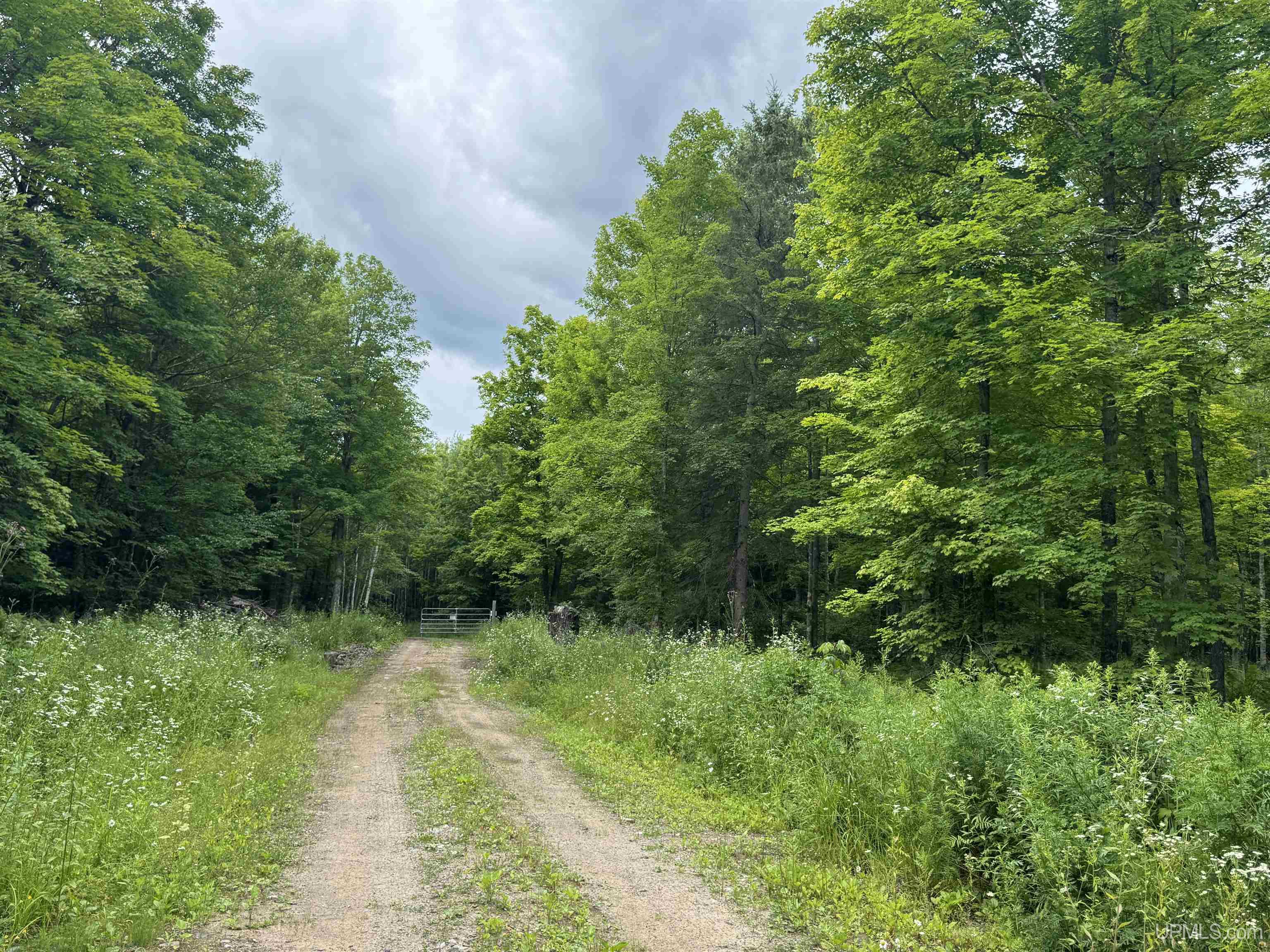 94-acres Off Bates Amasa Road Crystal Falls, MI 49920 - Photo 37 of 38