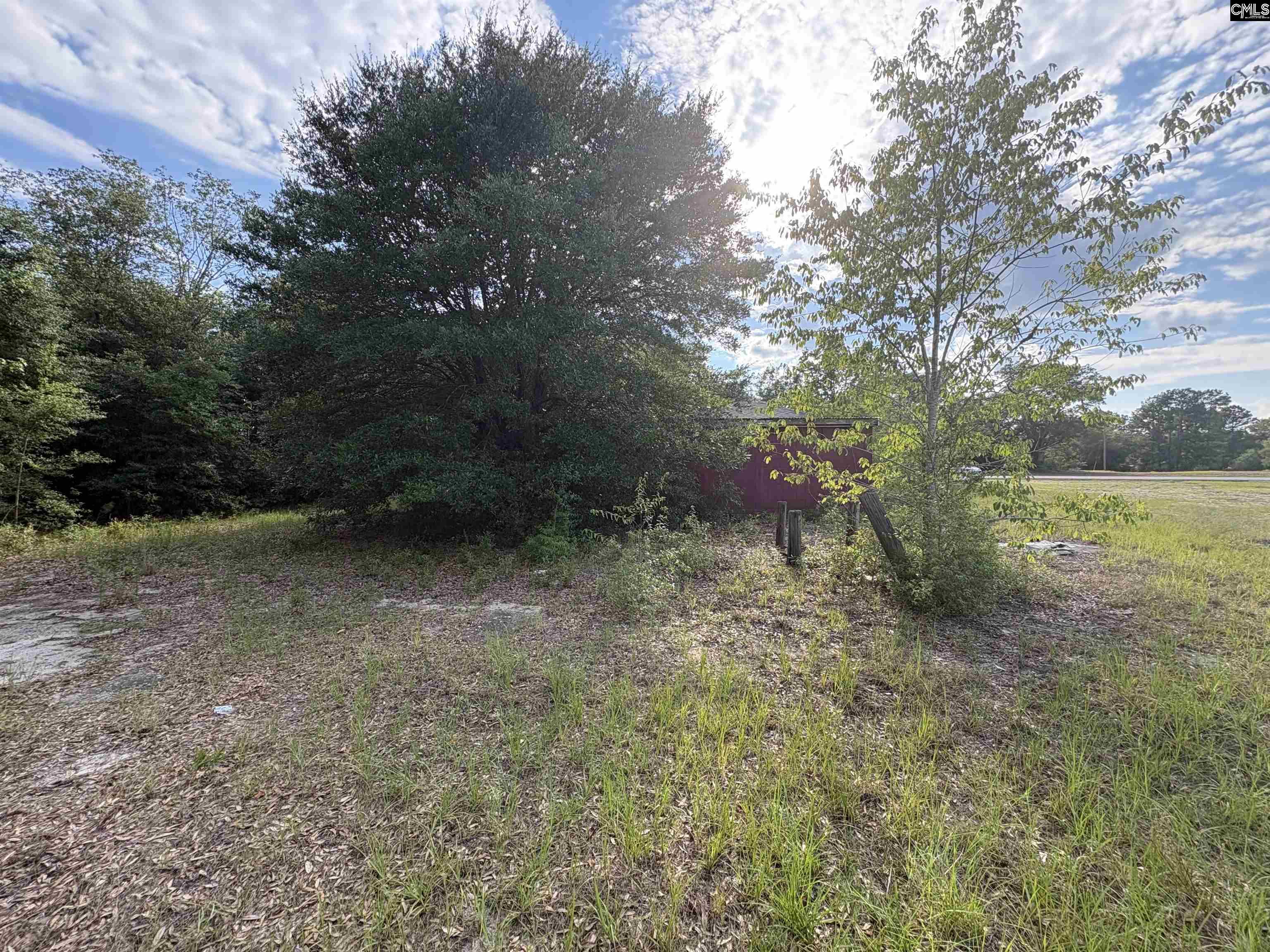 545 Flinns Road Hartsville, SC 29550 - Photo 12 of 14