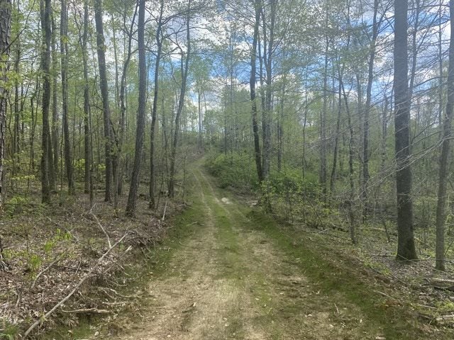 6000 Greenbriar Road Breeding, KY 42715 - Photo 19 of 29 Gallery Image 19