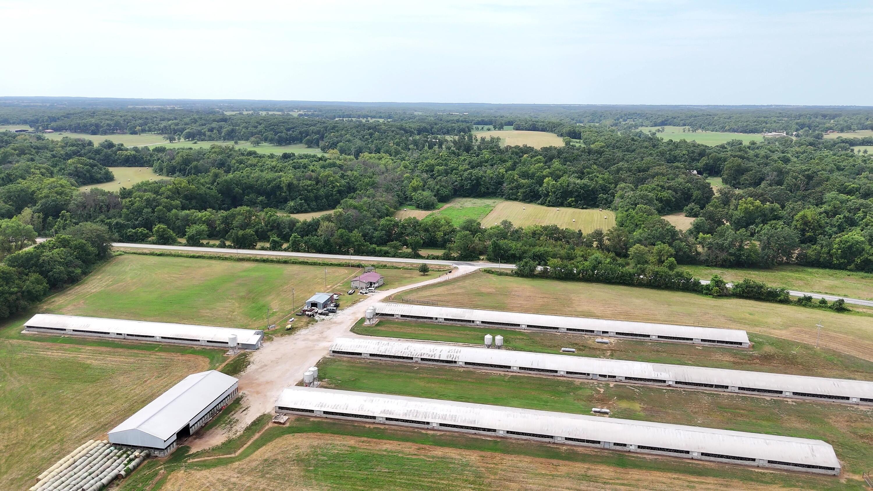 11477 Blackberry Road Carthage, MO 64836 - Photo 20 of 65 20