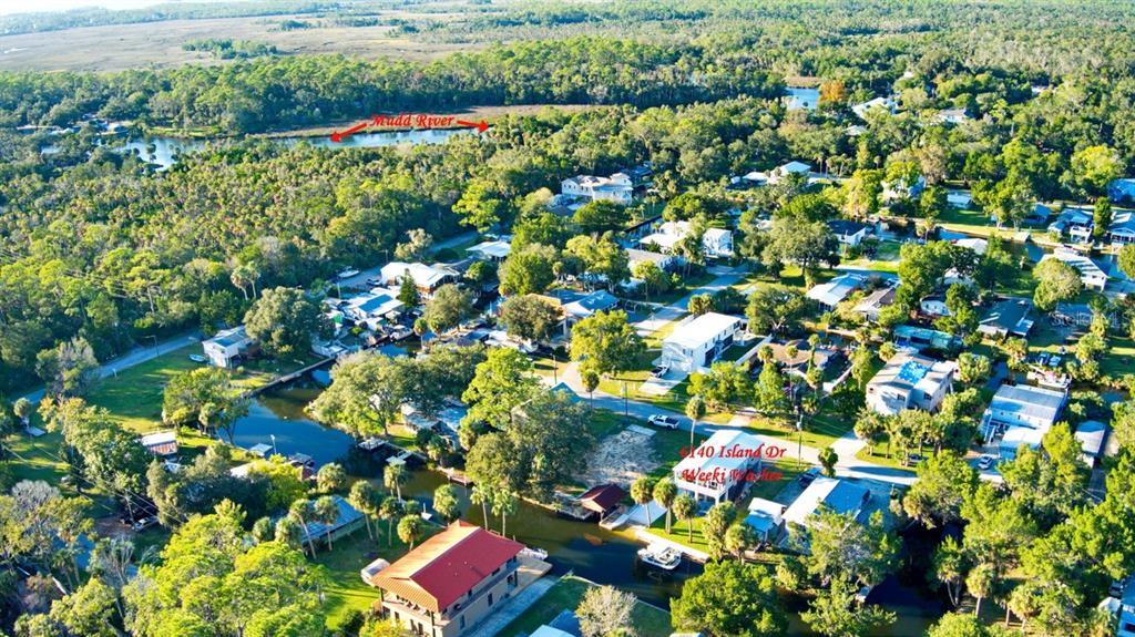 6140 Island Drive Weeki Wachee, FL 34607 - Photo 36 of 46