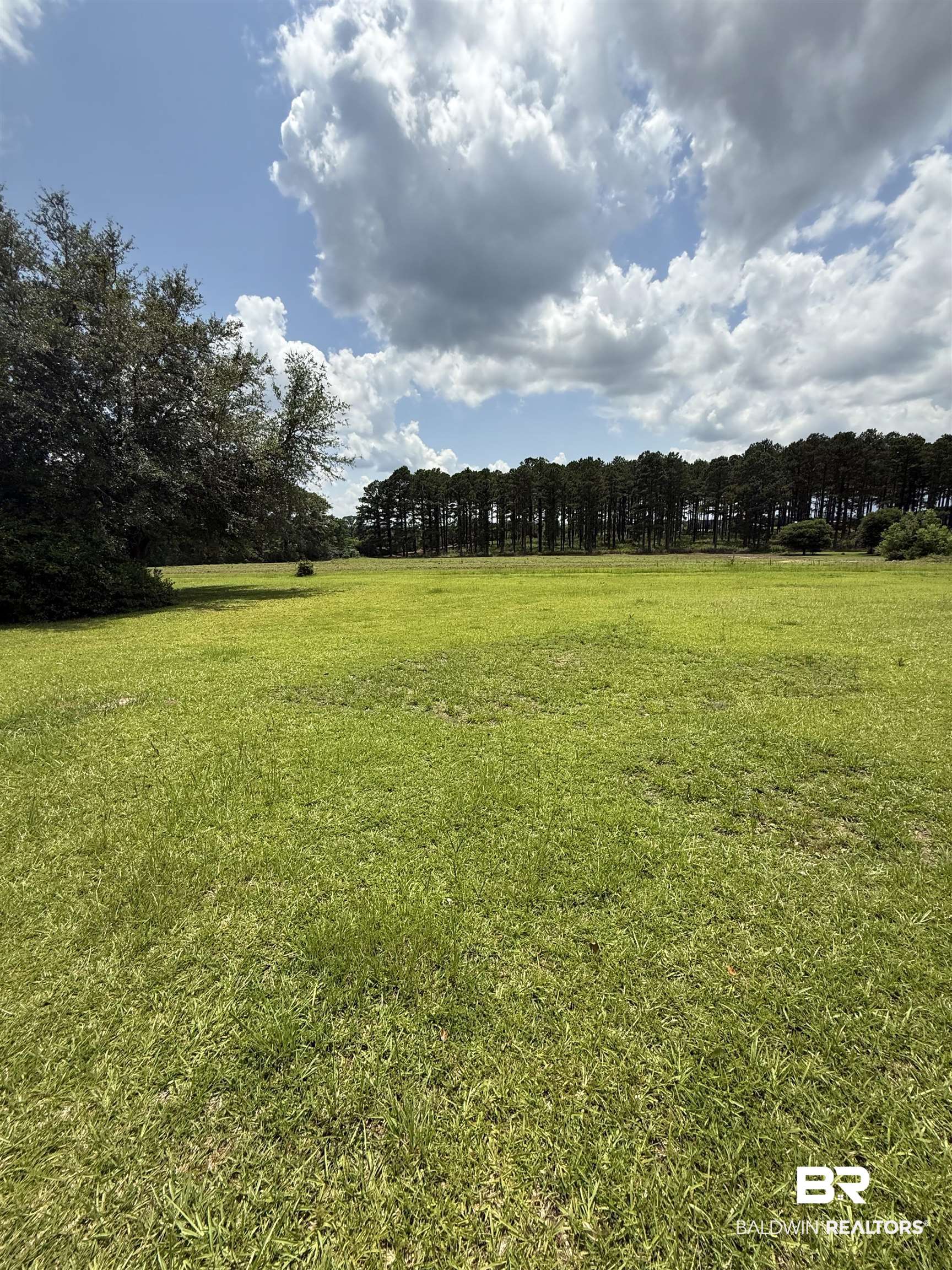 227 County Road 14 Range, AL 36473 - Photo 6 of 41