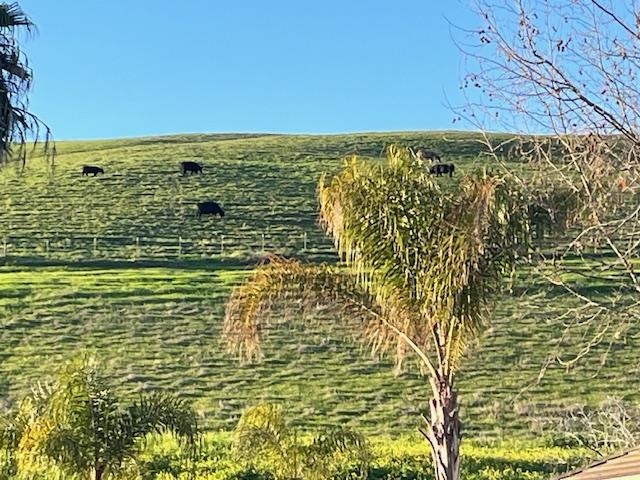 5227 Ramsdell Court Antioch, CA 94531 - Photo 55 of 58 Exterior view