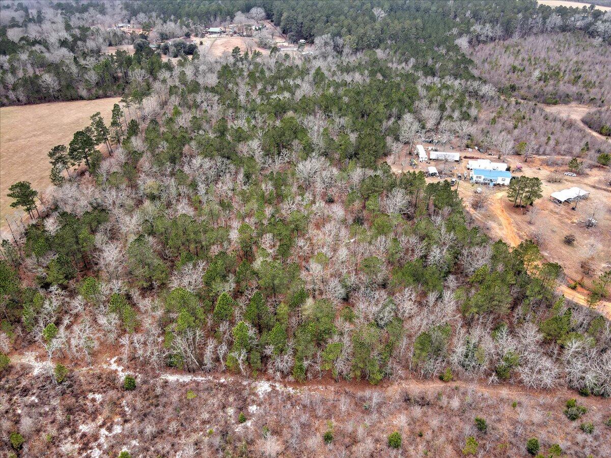 Tr-5 West Wilderness Road Williston, SC 29853 - Photo 1 of 14