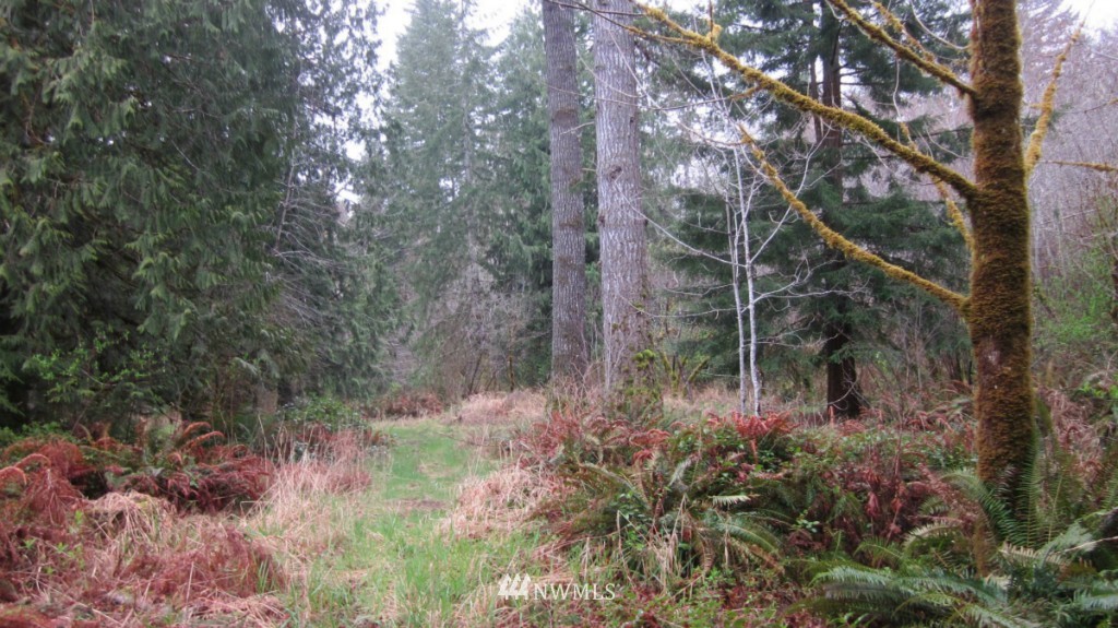 209 Butler Mill Road Elma, WA 98541 - Photo 3 of 24 Gallery Image 3