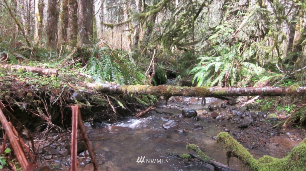 209 Butler Mill Road Elma, WA 98541 - Photo 22 of 24 Gallery Image 22
