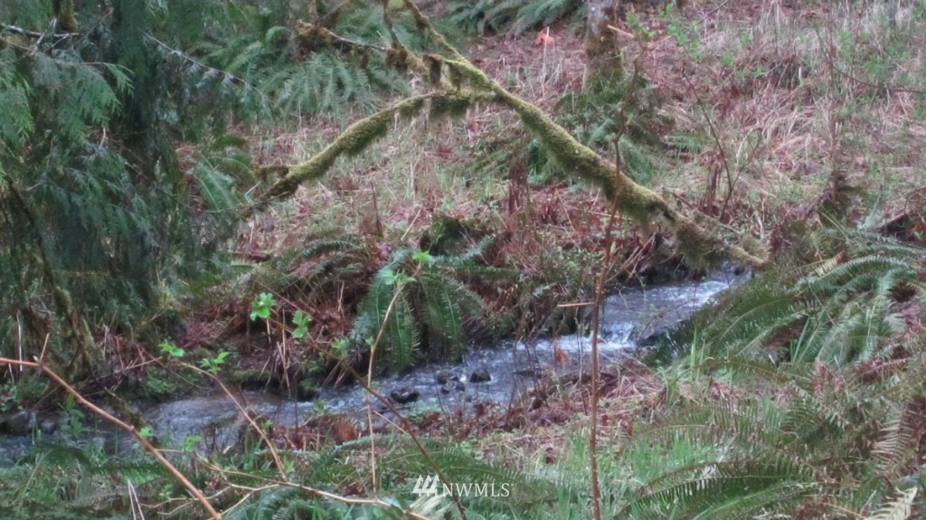 209 Butler Mill Road Elma, WA 98541 - Photo 23 of 24 Gallery Image 23