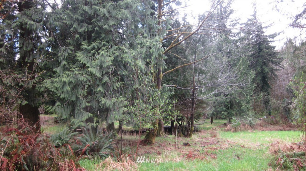 209 Butler Mill Road Elma, WA 98541 - Photo 4 of 24 Gallery Image 4