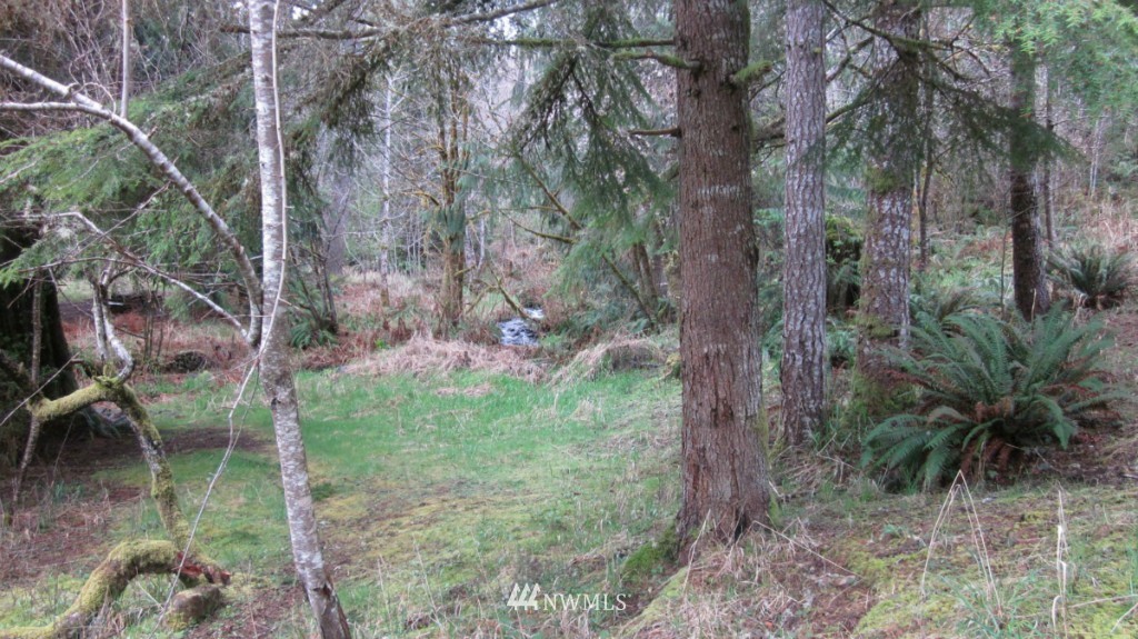 209 Butler Mill Road Elma, WA 98541 - Photo 5 of 24 Gallery Image 5