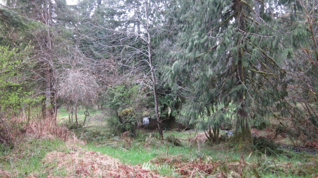 209 Butler Mill Road Elma, WA 98541 - Photo 7 of 24 Gallery Image 7