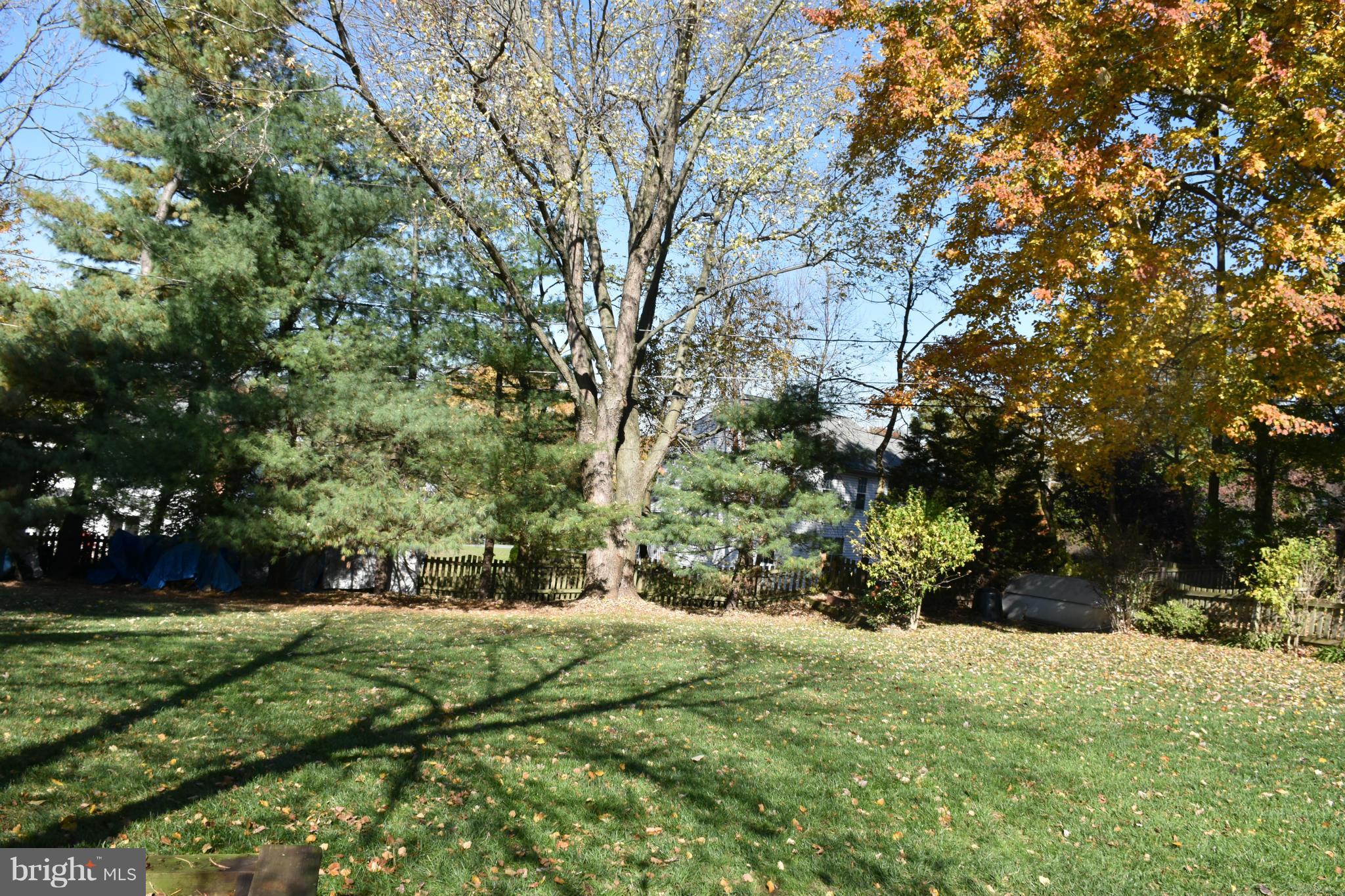 1904 Branston Road Catonsville, MD 21228 - Photo 5 of 21 View of yard from patio
