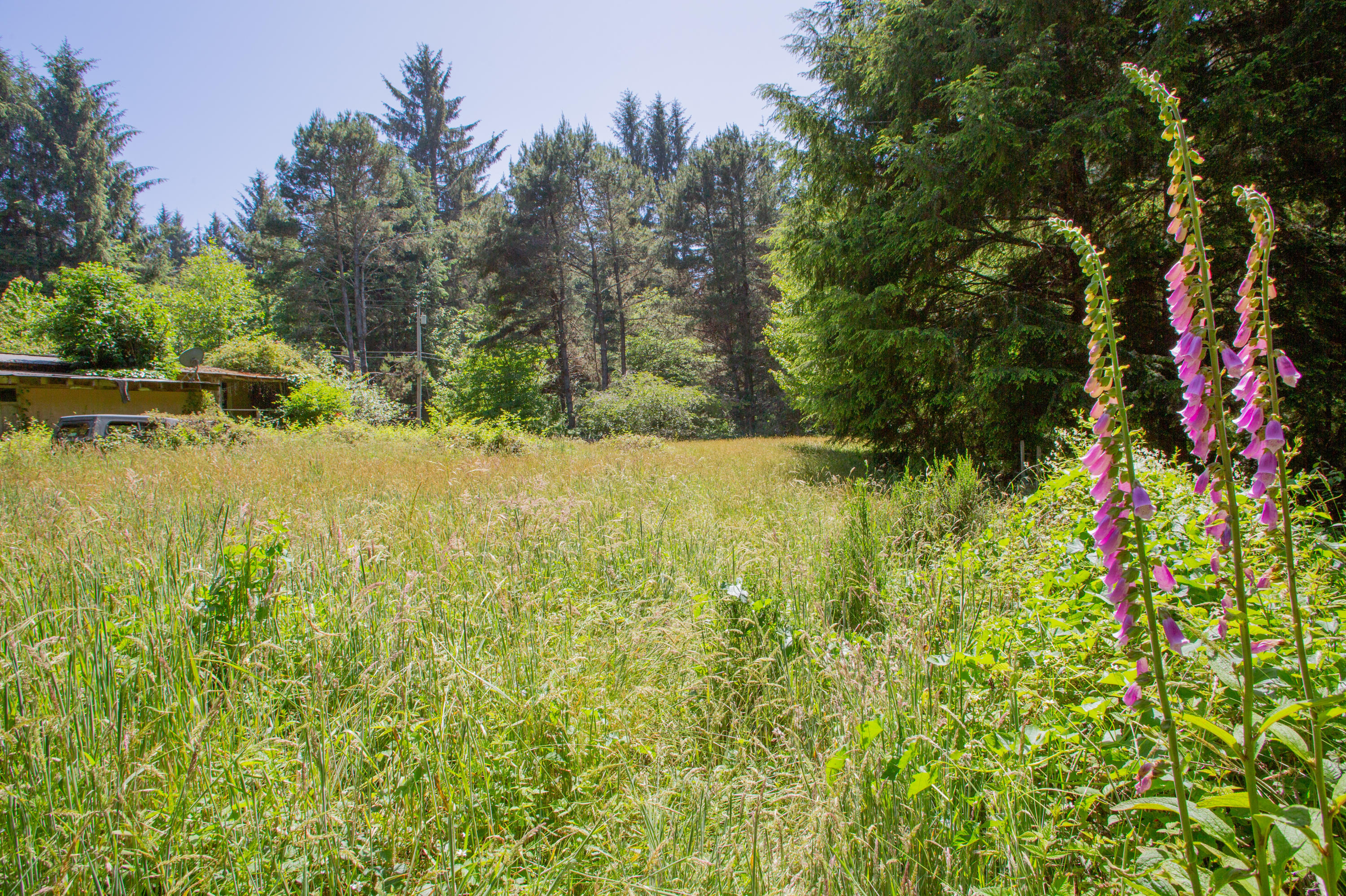 2095 Arthur Road McKinleyville, CA 95519 - Photo 15 of 29