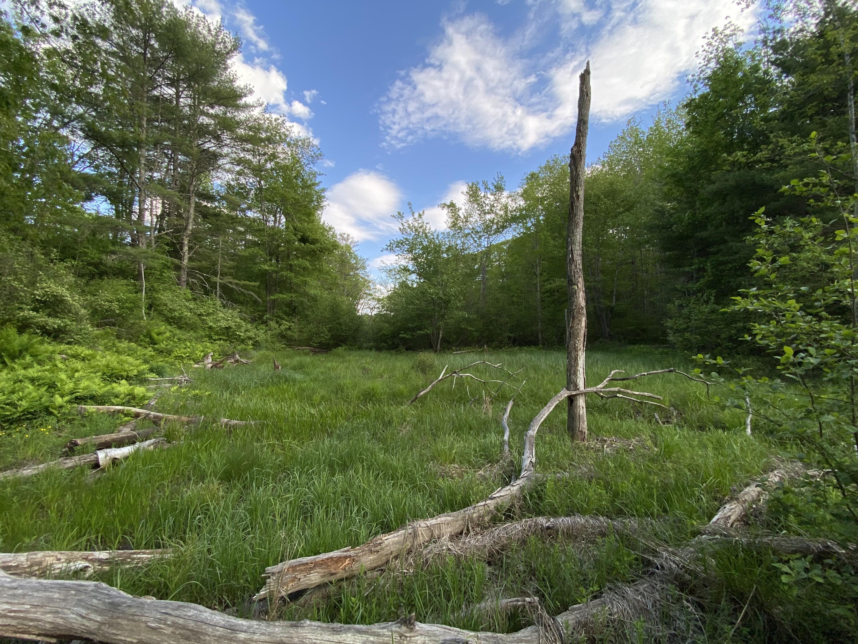 342 River Road Edgecomb, ME 04556 - Photo 20 of 57 IMG_7509