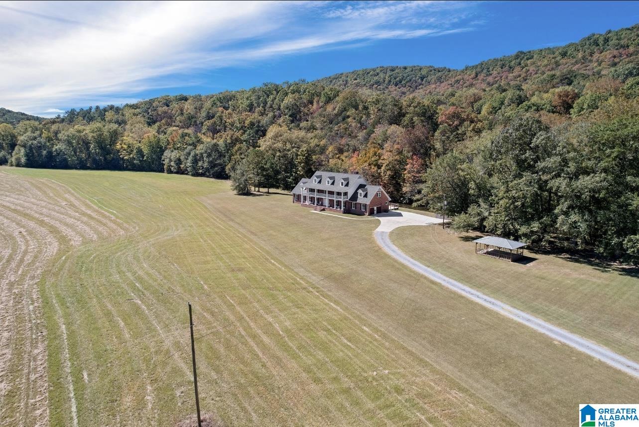 934 Fred Walker Road Oneonta, AL 35121 - Photo 77 of 78