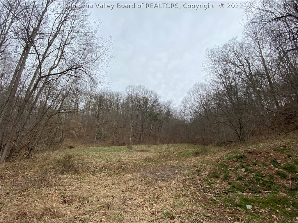 709 County Road 21/20 Ripley, WV 25271 - Photo 32 of 50 Gallery Image 32
