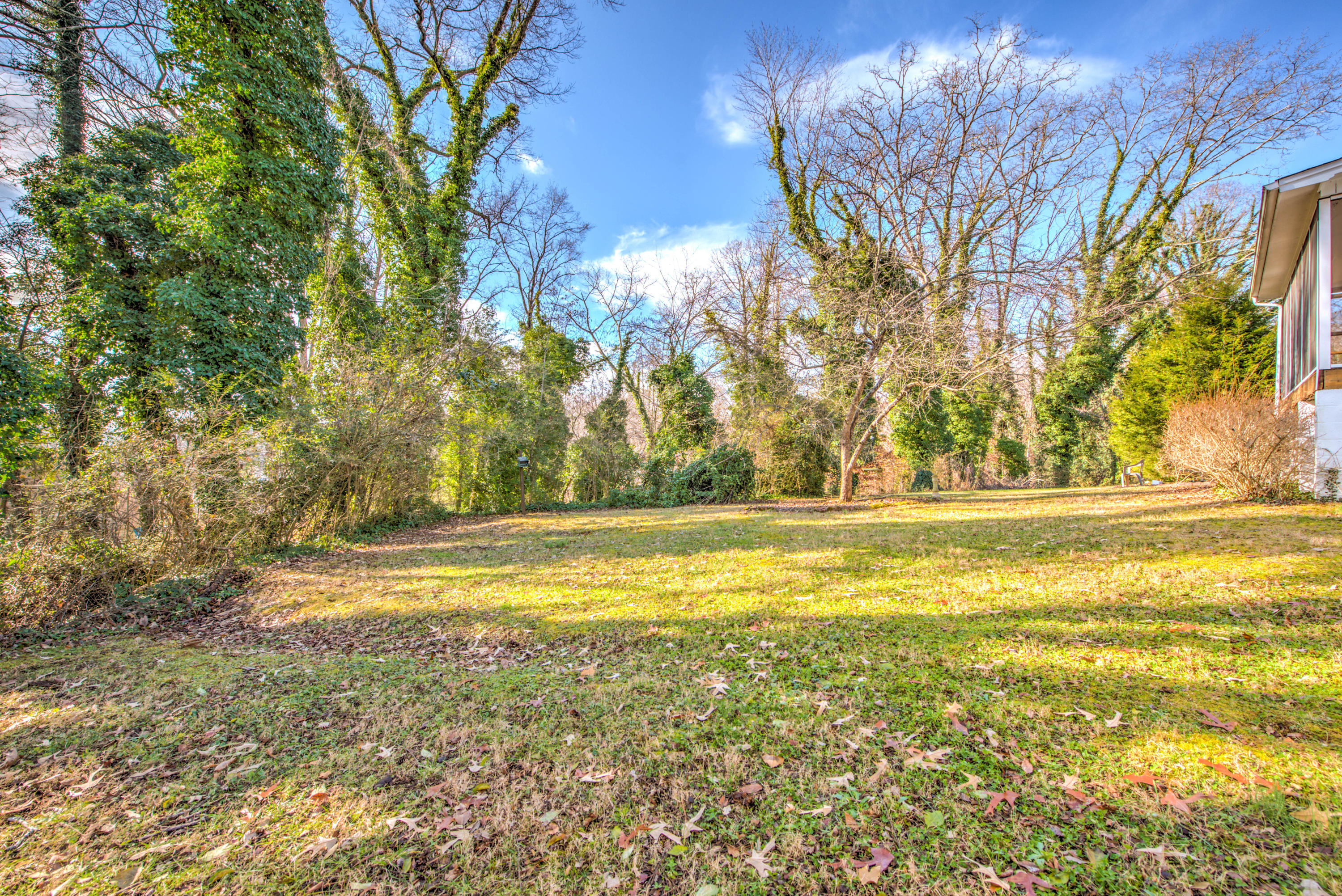 109 Norris Lane Oak Ridge, TN 37830 - Photo 21 of 22 Backyard