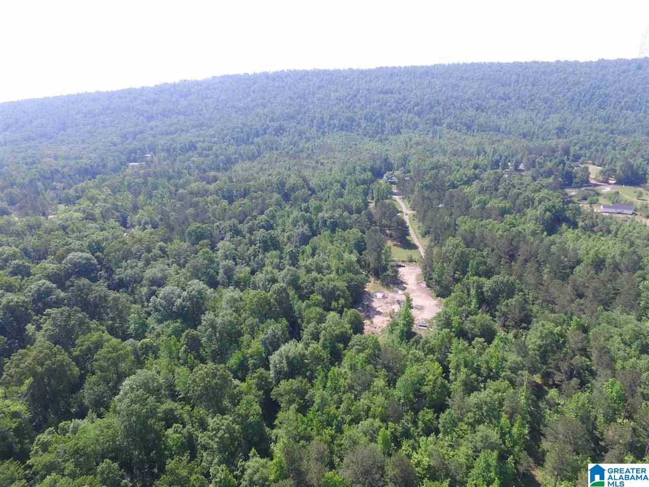 5255 Kelly Creek Road, Unit 37 / AC Odenville, AL 35120 - Photo 4 of 17