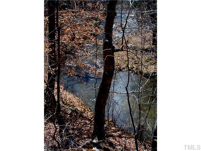 6097 Bob Daniel Road Oxford, NC 27565 - Photo 24 of 24 a close view of tap