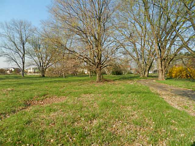 8610 Liberty Road North Powell, OH 43065 - Photo 3 of 7