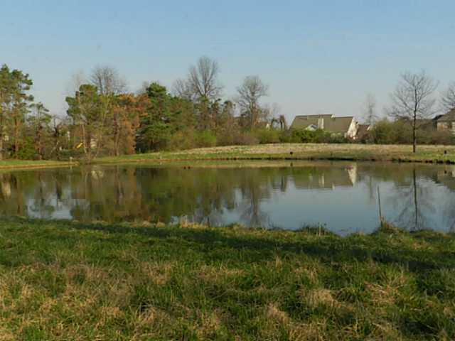8610 Liberty Road North Powell, OH 43065 - Photo 4 of 7