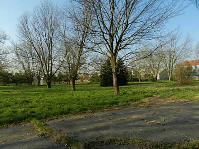 8610 Liberty Road North Powell, OH 43065 - Photo 6 of 7