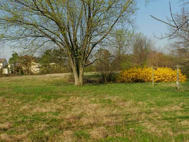 8610 Liberty Road North Powell, OH 43065 - Photo 7 of 7
