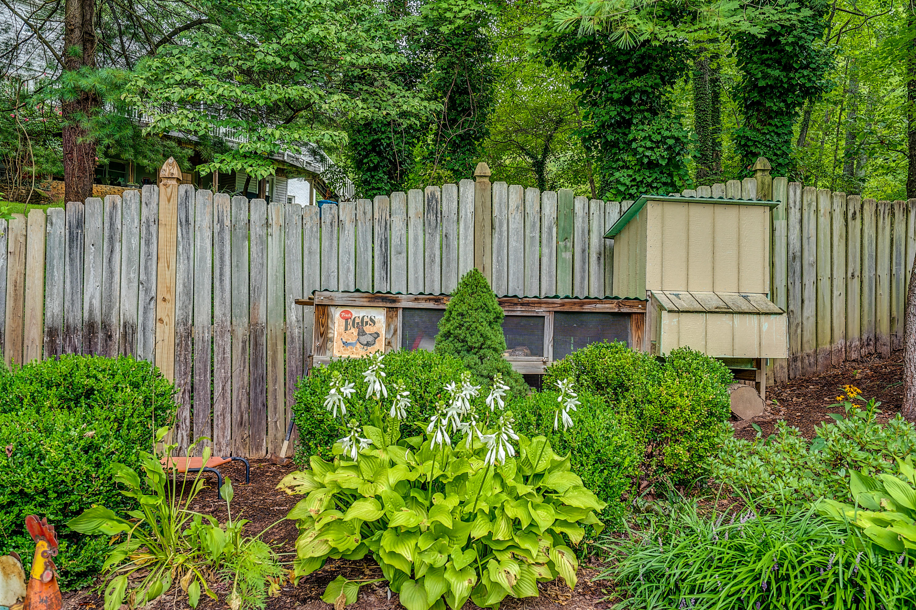 307 Darwin Road Southwest Roanoke, VA 24014 - Photo 68 of 71 DSC00371-2_2-2_3-2_4-2_5-2