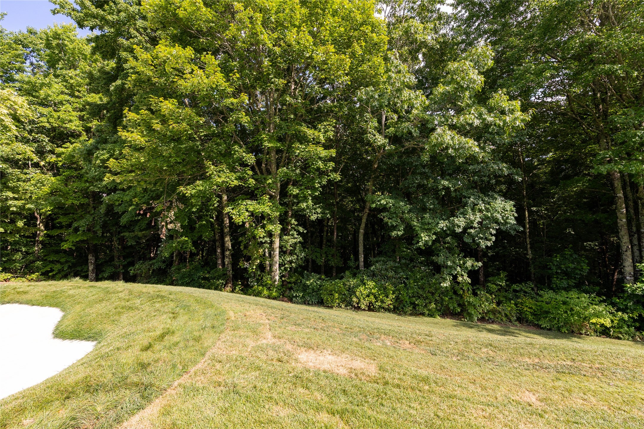 11-er Beaver Dam Road Sapphire, NC 28774 - Photo 13 of 45 Gallery Image 13