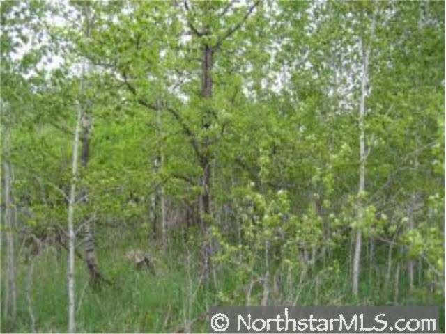 23348 Howard Road Finlayson, MN 55735 - Photo 8 of 8 Gallery Image 8