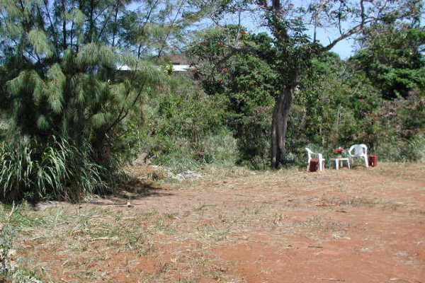 4817 Ohu Road Kapaa, HI 96746 - Photo 2 of 6 a view of a dirt road with trees in the background