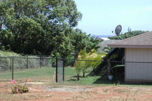 4817 Ohu Road Kapaa, HI 96746 - Photo 4 of 6 a backyard of a house with lots of green space
