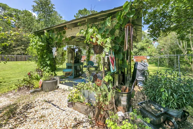 a view of a garden filled with lots of plants and trees
