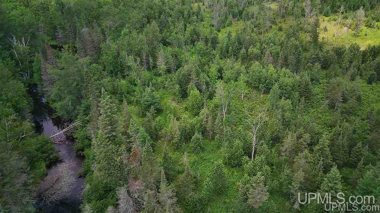 Tbd Off Nowack Road, Unit 1 Powers, MI 49874 - Photo 6 of 32