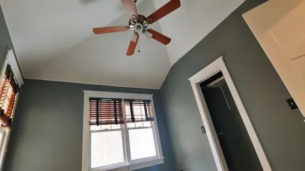 a view of backyard with a trees