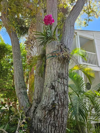 $680,000 | 22 Merganser Lane, Key West, FL 33040