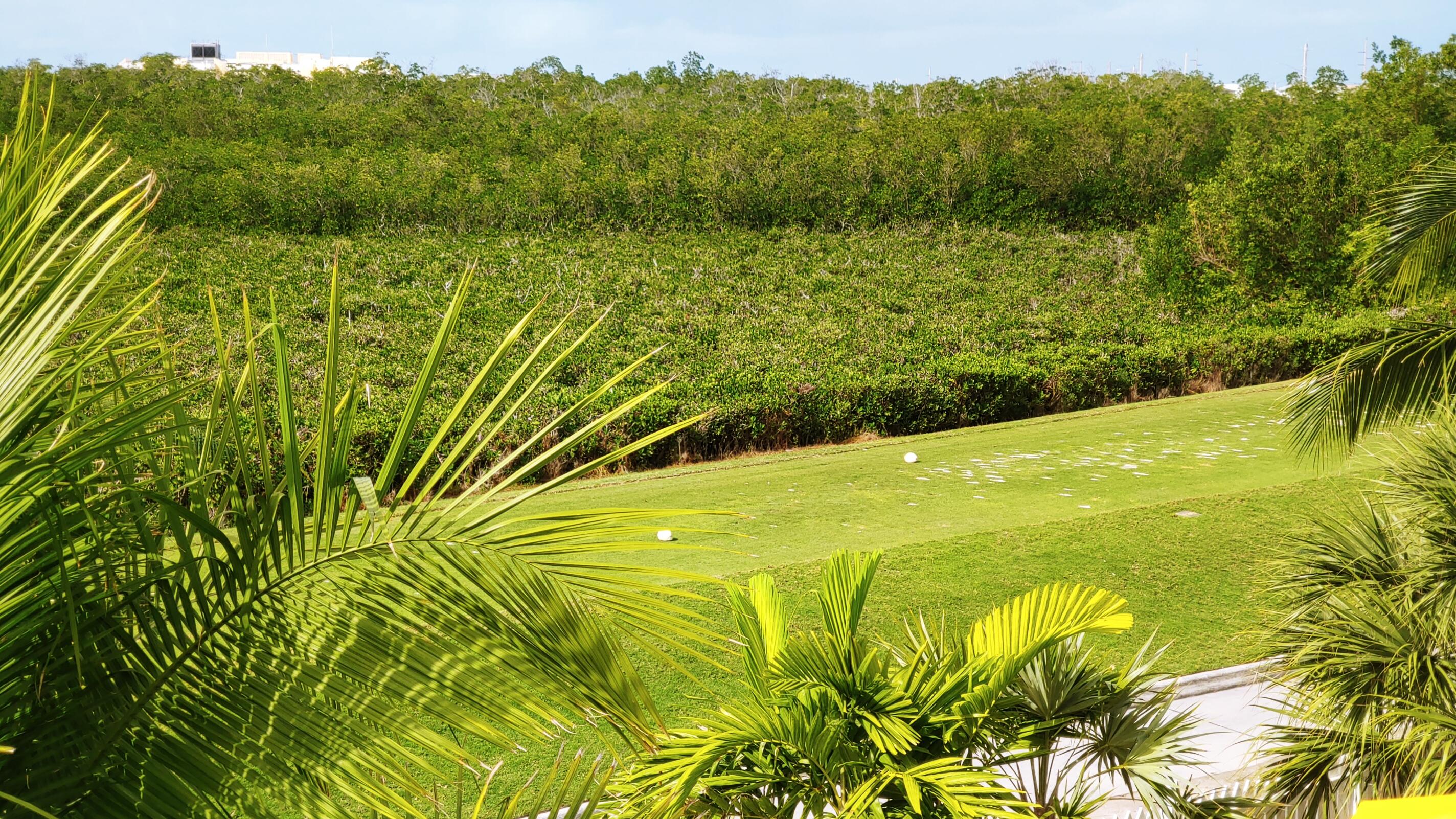 22 Merganser Lane Key West, FL 33040 - Photo 7 of 46 a view of a garden