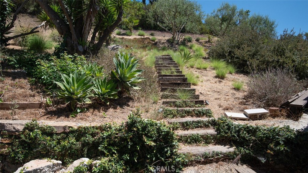 13501 Bayliss Road Brentwood, CA 90049 - Photo 20 of 24 a view of a yard with plants and large trees