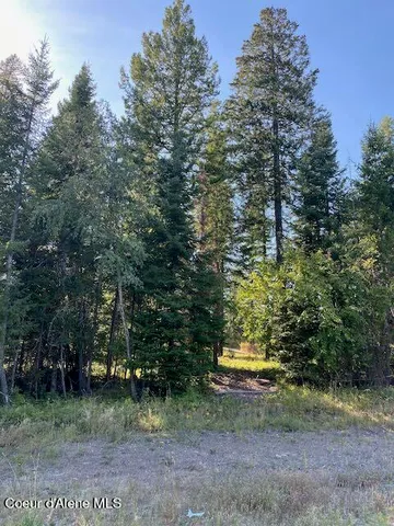 $375,000 | L3-b10 North Walden Loop, Rathdrum, ID 83858