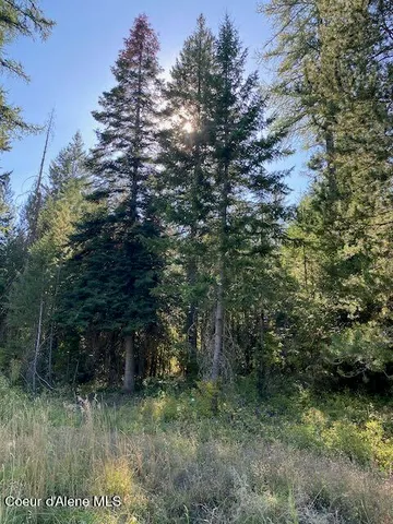 $375,000 | L3-b10 North Walden Loop, Rathdrum, ID 83858