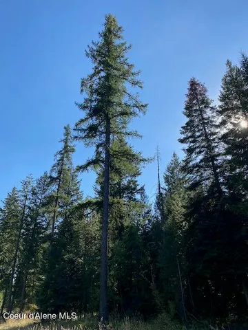 $375,000 | L3-b10 North Walden Loop, Rathdrum, ID 83858