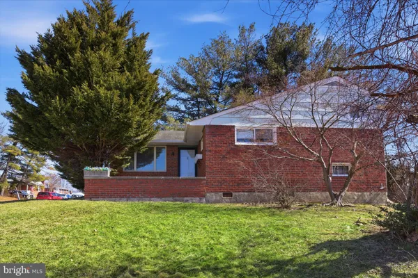a view of a yard with a large tree
