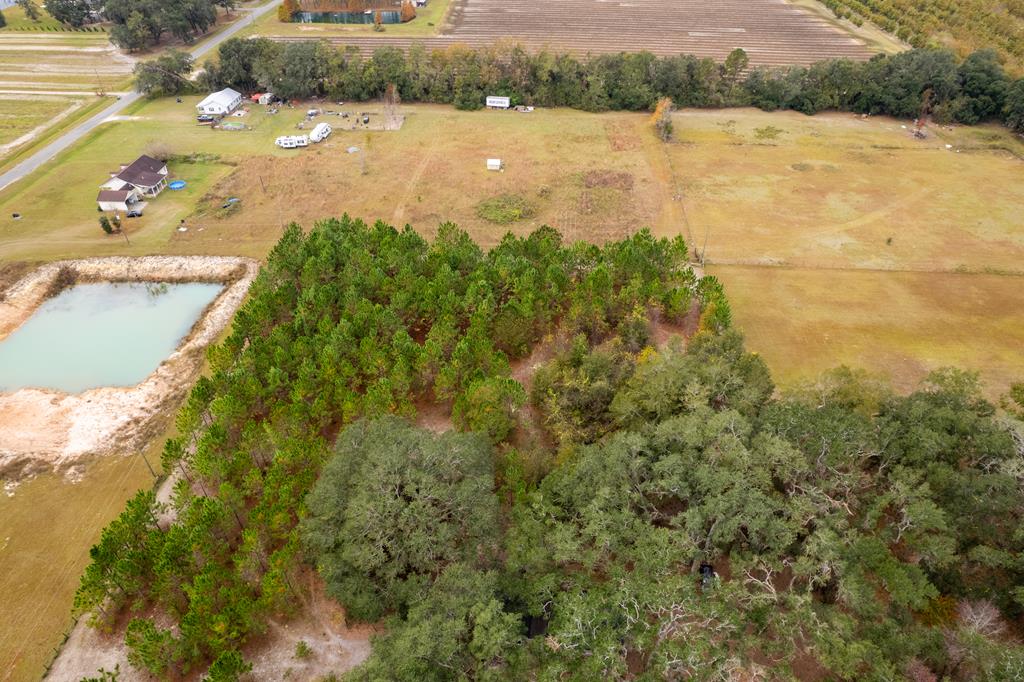 7361 Good Hope Road Naylor, GA 31641 - Photo 67 of 69 Gallery Image 67