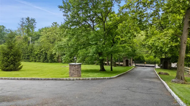 a view of a park with large trees