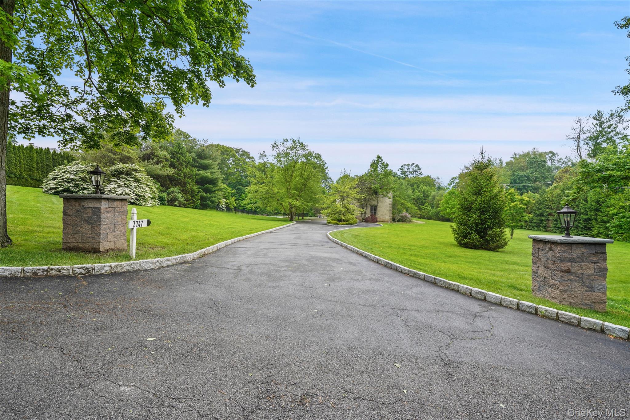 3747 Purchase Street Purchase, NY 10577 - Photo 7 of 48 a view of a park with large trees