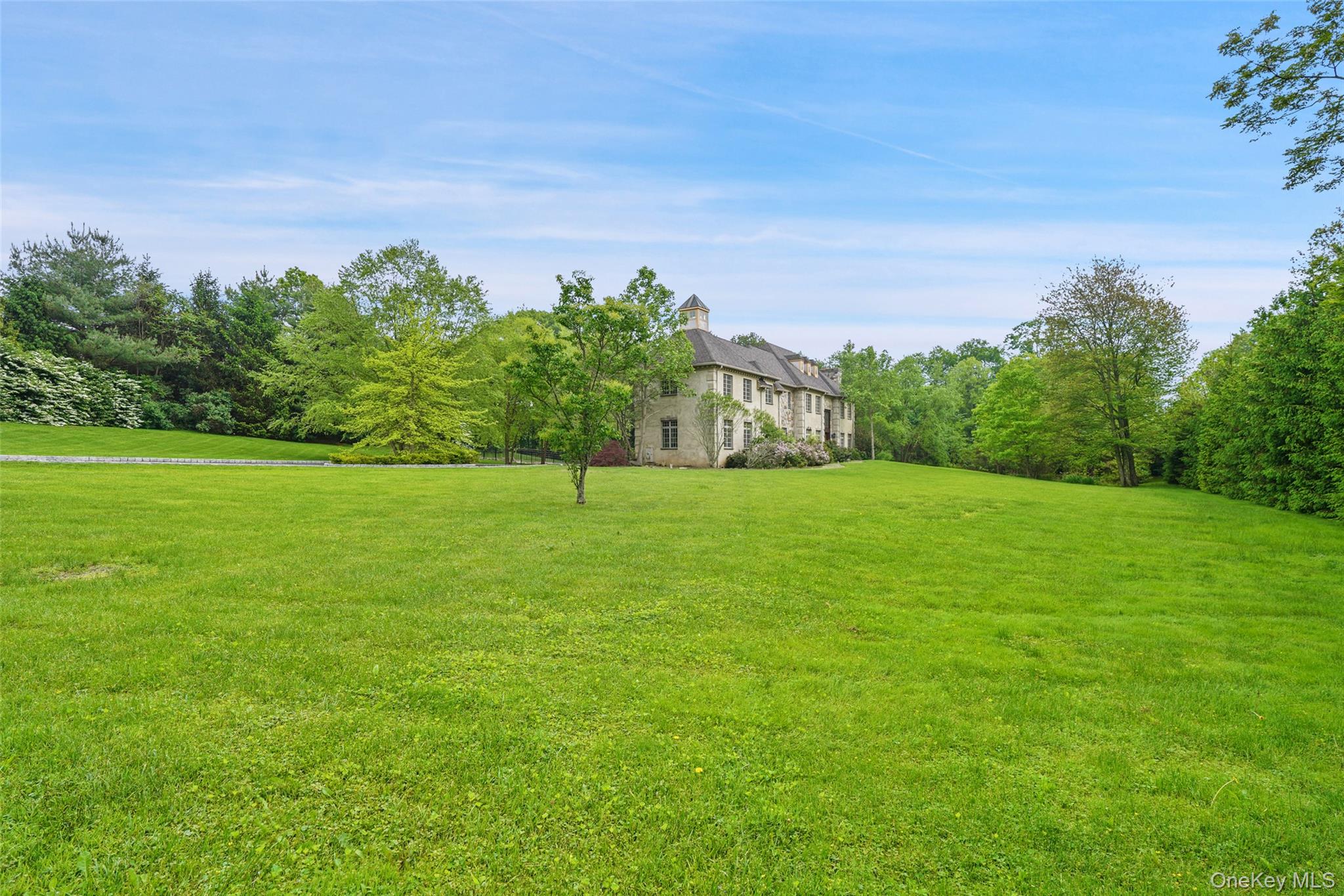 3747 Purchase Street Purchase, NY 10577 - Photo 8 of 48 a backyard of a house with lots of green space
