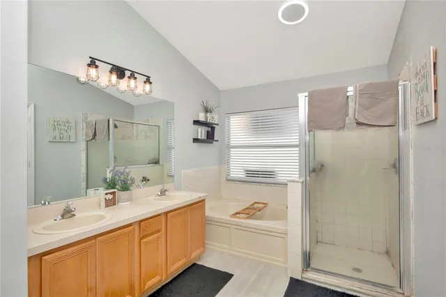 a bathroom with a double vanity sink mirror and shower