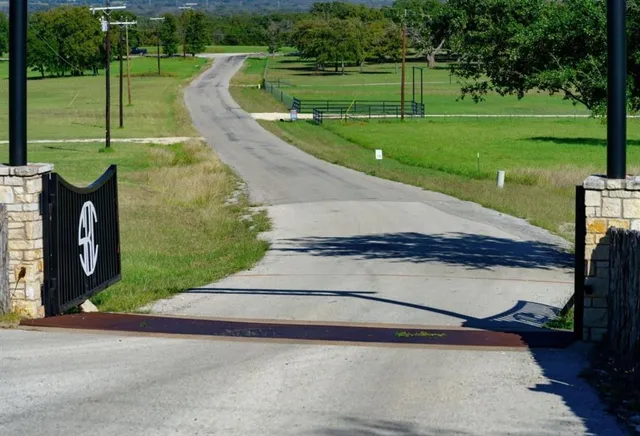 a view of a park with large trees