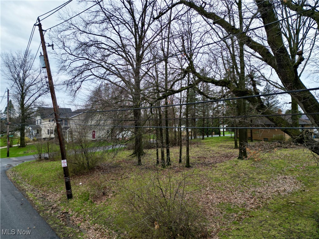 Tbd Meadowbrook Road Cleveland, OH 44125 - Photo 5 of 15
